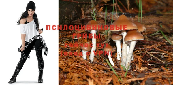 каннабис Алексин