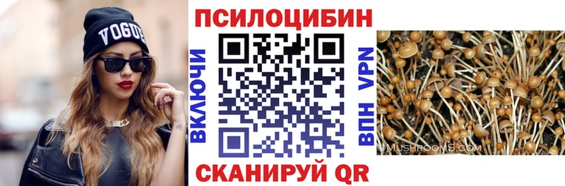 OMG зеркало  Нерчинск  Псилоцибиновые грибы мухоморы  цены наркотик 