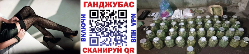 где купить наркоту  Нерчинск  Бошки марихуана индика 